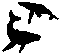 whales